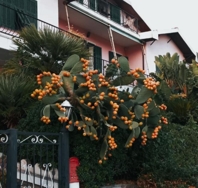 Апартаменты Giardino Miramare Citra Zero Zero Ottanta Trentuno Lt 0737 Империя Экстерьер фото